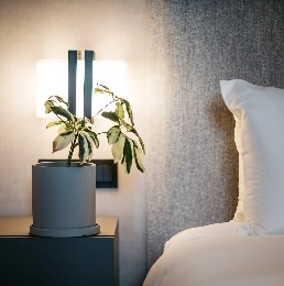 Dao by Dorsett guestroom mood shot with plant